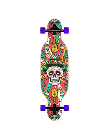 Børn Hydroponic DT Børn Komplet Longboard 1,099.00